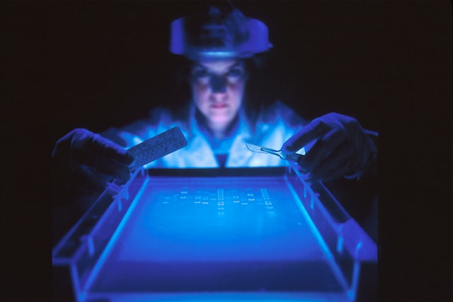 biochemik – analiza prążków elektroforetycznych pod UV