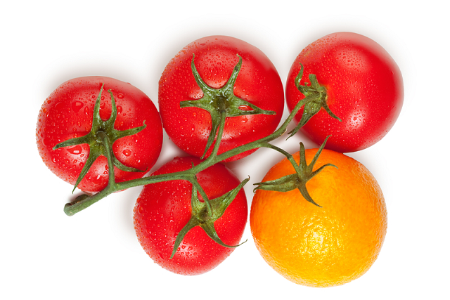 pomidory i pomarańcza na gałązce – tłumaczenia z biotechnologii
