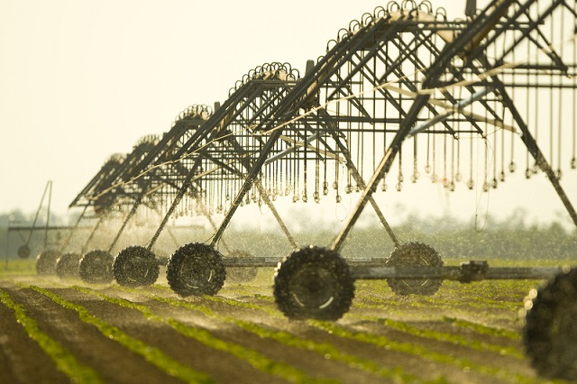zraszanie pola uprawnego - tłumaczenia dla sektora rolnictwa
