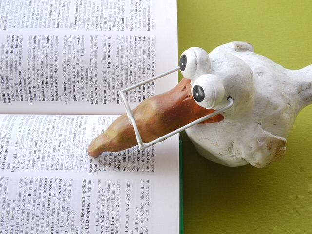 ptak z dziobem w książce – tłumaczenia ustne