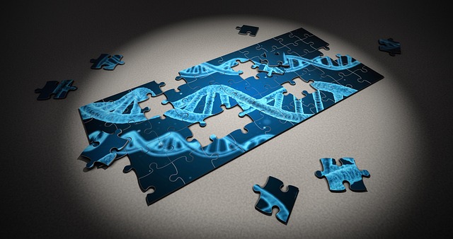 puzzle, układanka, DNA